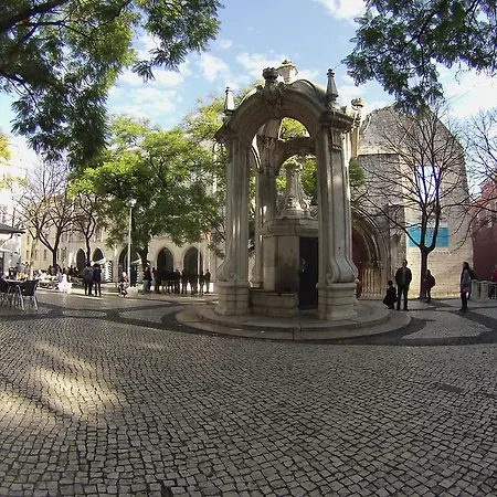 Window To Iii Lisboa